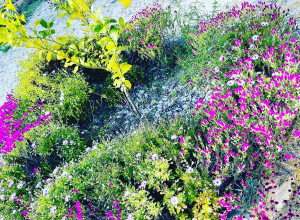 Gestore: Paola Bettoli