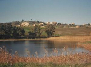 image4 Coscio Di Badia