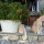 preview image3 giardino