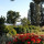 preview image11 giardino