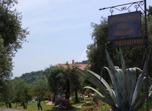 Gestore: Angiola Maria