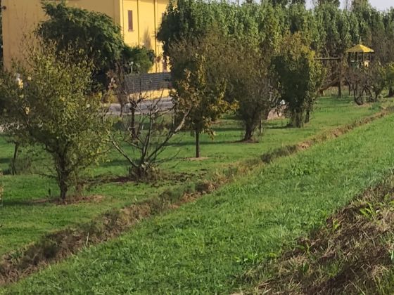 La Ca’ Del Delta - foto 10