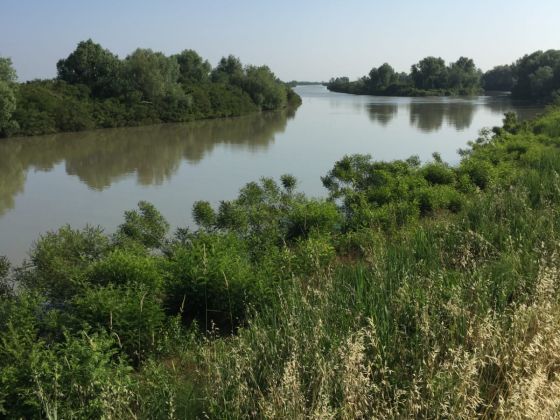 La Ca’ Del Delta - foto 13