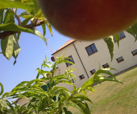 Agritourisme Amistà - Badia Polesine