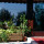 preview image6 esterno