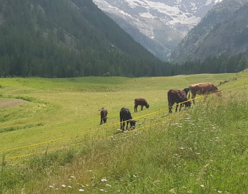 La Ferme du Grand Paradis