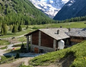 La Ferme du Grand Paradis - Aosta-Valley