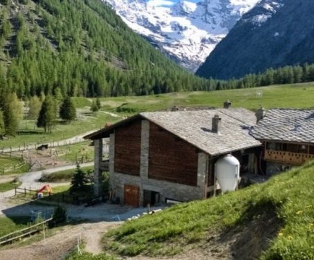 Casa-rural La Ferme Du Grand Paradis - Cogne