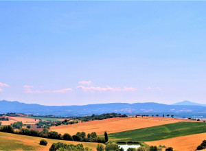 image4 Villa Cozzano