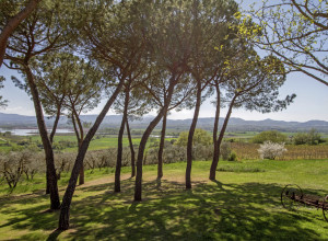image29 Villa Cozzano