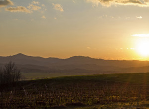 image9 Villa Cozzano