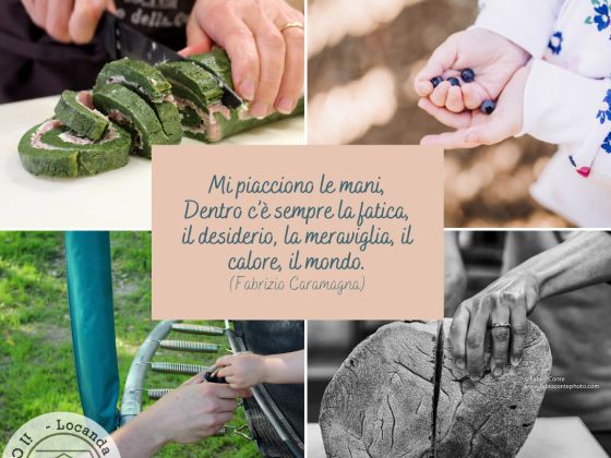 Il Campo Della Quercia - foto 21
