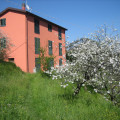 Casalino