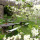 preview image7 esterno