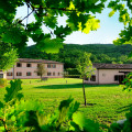 Il Corniolo