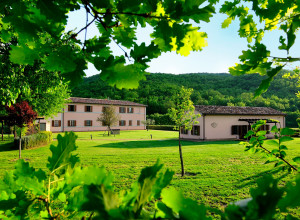 Il Corniolo