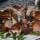 preview image2 esterno