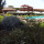 preview image0 esterno