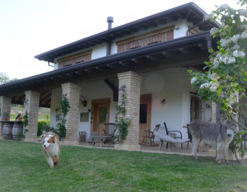 Pietra Cavalla 