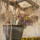 preview image10 dettaglio