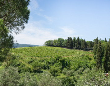 Terre di Toscana