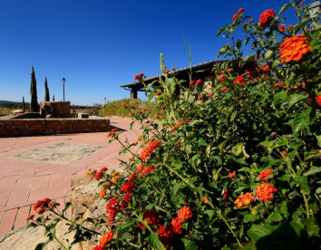 Antico Borgo Casalappi