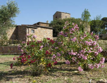 Antico Borgo Casalappi