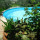 preview image17 piscina