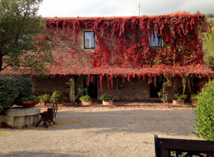 image18 San Ottaviano