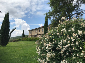 image14 San Ottaviano