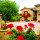 preview image8 esterno