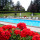 preview image20 esterno