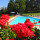 preview image6 piscina