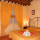 preview image21 esterno