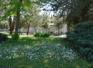 image14 Colleverde Country Club