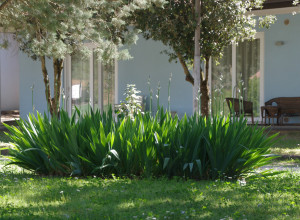 image21 Colleverde Country Club