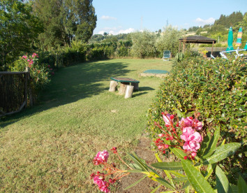 Ripa Buia