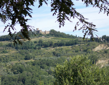 Ripa Buia