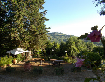 Ripa Buia