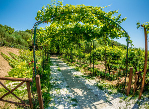 image9 Valle Di Marco