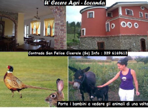 image11 U' Cecere Agrilocanda
