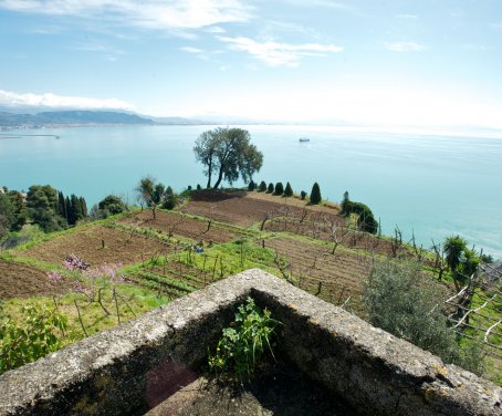 Sopra il Limoneto - Campania