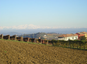 image26 La Casa Che Ride