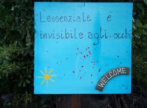 image6 La Casa Che Ride