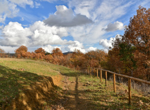 image4 Bioagriturismo Sant'Elia