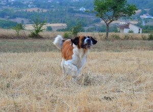 image3 Fattoriabio 