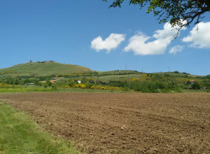 image11 Fattoriabio 