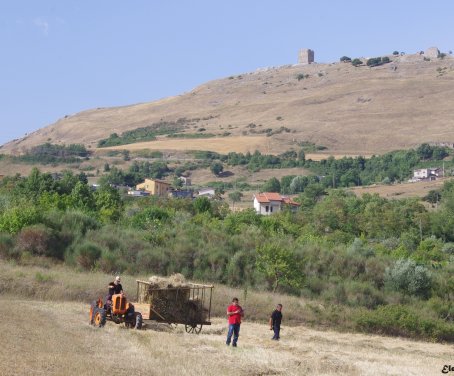 Casa-rural Fattoriabio  - Satriano Di Lucania