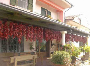 image5 Fattoriabio 