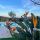 preview image6 piscina